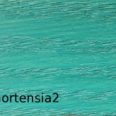 Lasure teinte vives 1 l