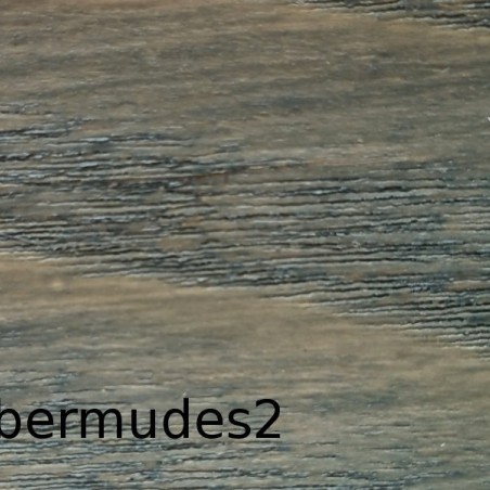 Lasure teinte vives 1 l